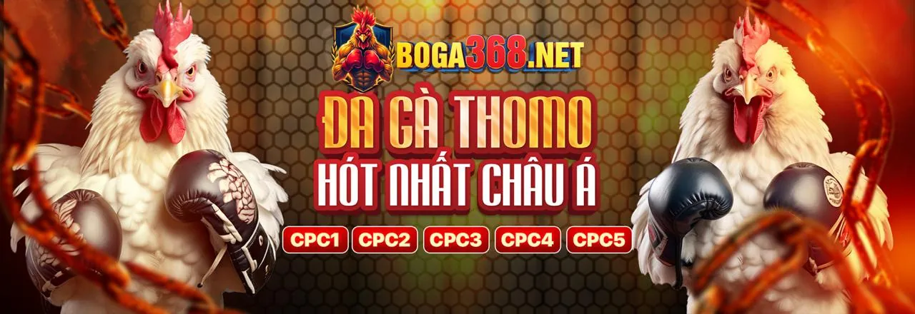 Đá Gà Trực Tuyến Kịch Tính tại FV99