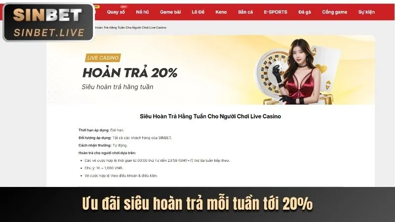 Các chương trình khuyến mãi độc quyền của FV99